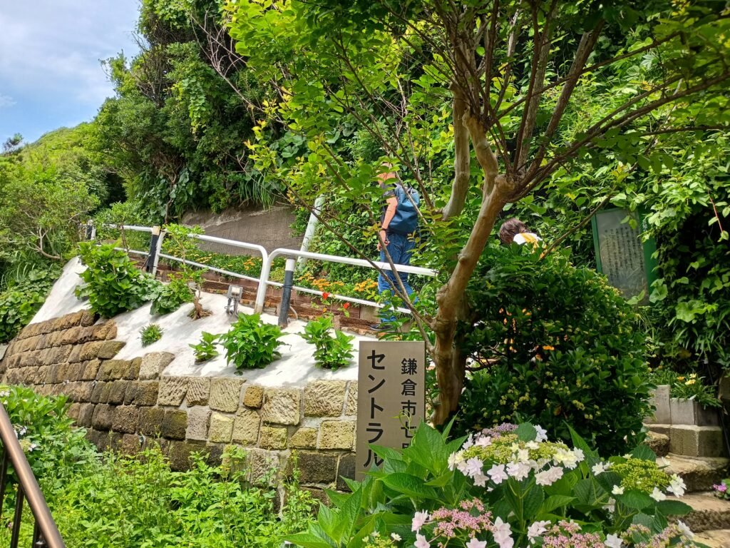 お店に続く山道｜アマルフィイデラセーラ